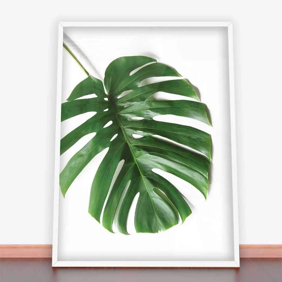 Framed monstera dziurawa liść print in a stylish ramę plakatową for home decor